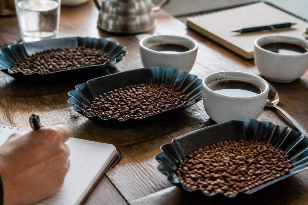 How to Identify High Quality Coffee Roast Profiles