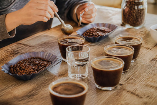 How to Taste Coffee Tasting Notes: A Step-by-Step Guide