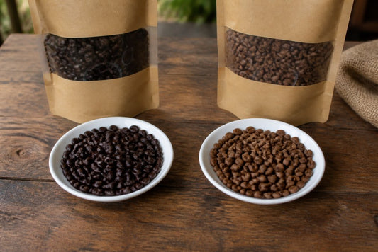 Kazan Coffee vs Fresh Roasted: Which Stays Fresher Longer