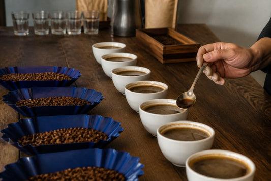 Single Origin Coffee Tasting Guide: Master the Basics